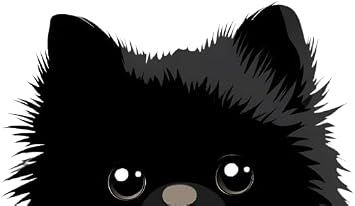 Peeking Pomeranian Car Decal Black Silhouette Vinyl Sticker for Windows, Bumpers, SUVs, Trucks, Laptops, and Motorcycle Funny Weatherproof Pet Lover Auto Graphic 5x3 Pomeranian