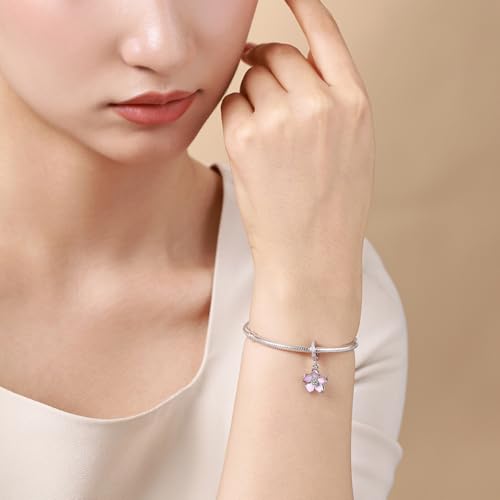 Charms for Pandora Bracelets 925 Sterling Silver Heart Charms for Bracelets Charms Original Charm for Women Silver Bracelet Charms3