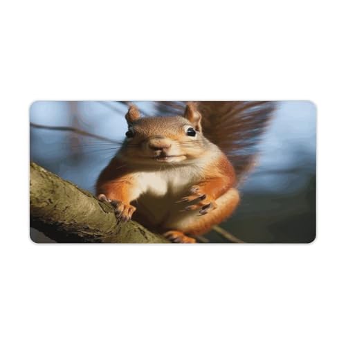 Squirrel Funny Animal Alfombrilla Grande Antideslizante