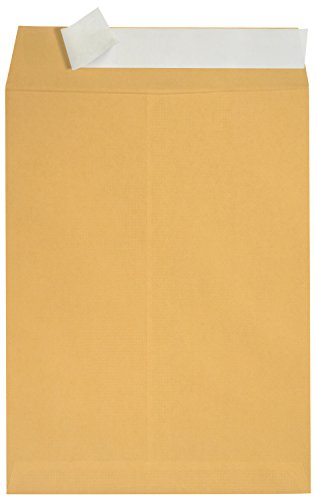 100-6-x-9-Self-Seal-Golden-Brown-Kraft-Catalog-Envelopes-Oversize-6-x-9-Envelope-Peel-and-Seal-Flap-with-28-Pound-Kraft-Paper-Envelopes-Printer-Friendly-Design-100-Count
