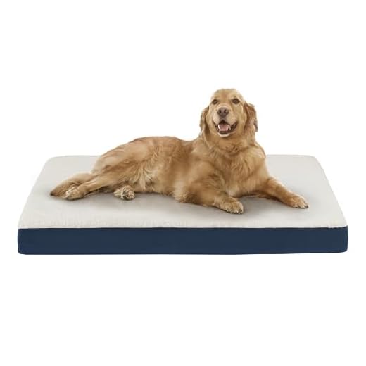 Codi Orthopedic Dog Beds with Memory Foam for Large Dogs, Reversible Dog Mat with Removable Cover, Waterproof Pet Bed Machine Washable, Navy Blue