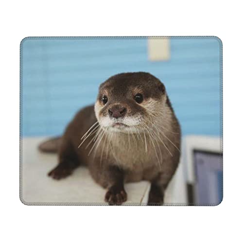 Tapis de souris loutre étanche pour un bureau d'ordinateur propre et bien organisé