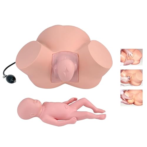 Mannequin accouchement obstétrique pour simuler les positions fœtales