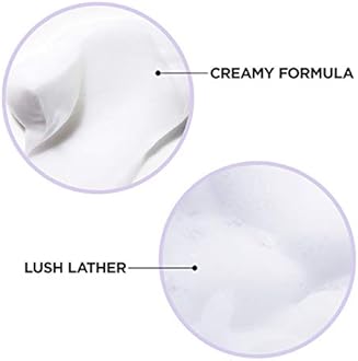 L'Oreal Paris Hair Care Ever Pure Sulfate Free Frizz Defy Shampoo, 2 Count