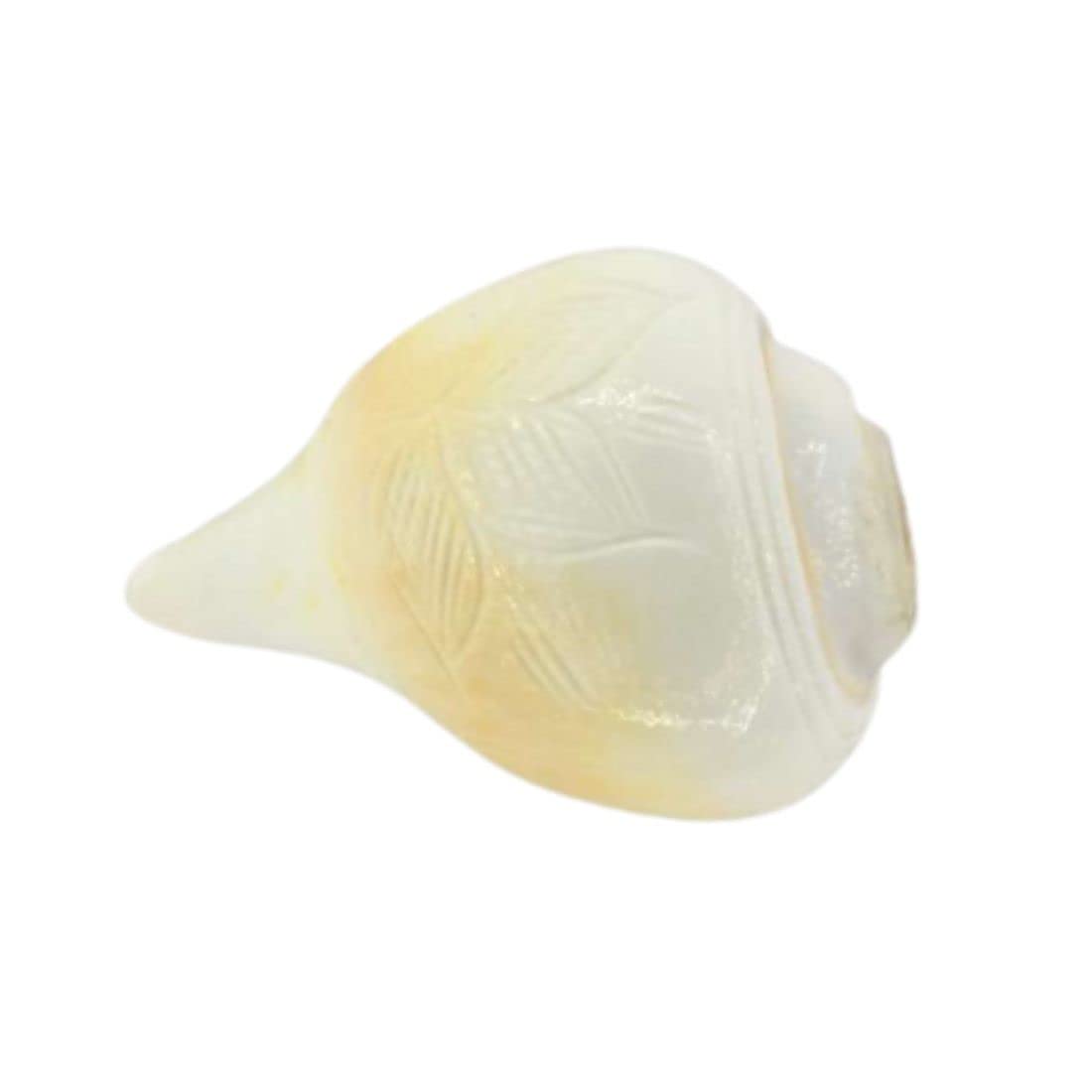 Indian Collectible Puuja-Schäfchen für Puja, Größe: 8,9 cm (klein)