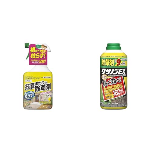 �y�Z�b�g�����z�Z�F���w���| ������ ���ގ��V�����[���C�h1000ml+������ �N�T�m��EX����800g