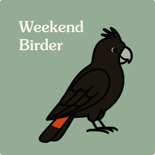 125 Observe, Learn and Protect - with Spencer