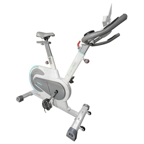 Bicicleta Spinning Magnética com 9 Níveis de Ajuste, Freio de