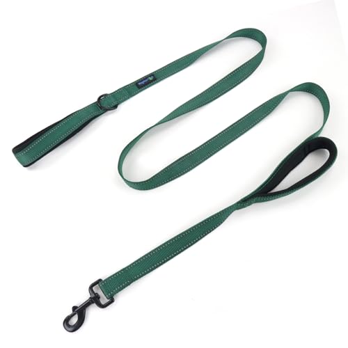 Waggin Tails Soft & Thick Dual Handle Dog Leash