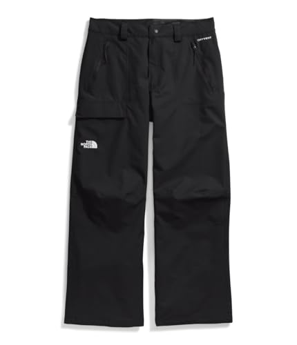 The North Face Men's Seymore Pant