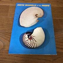 Amazon.co.jp: exotic seashells of the pacific 洋書 英語 図鑑 当時