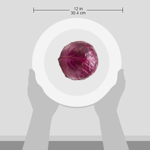 Red Cabbage, 1 Each