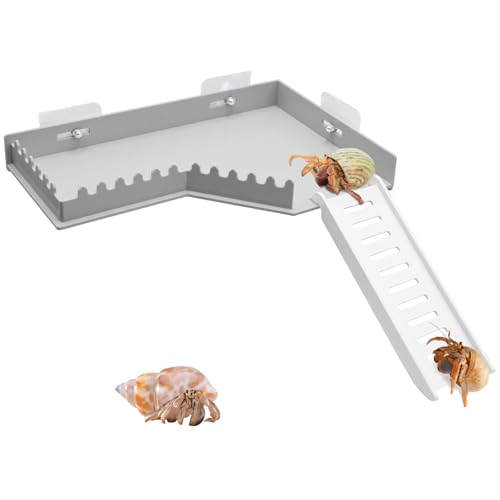BingegePet No-Drill Climbing Platform with Ramp, Hermit Crab Climbing Wall & Hideout, Multi-Level Platform with Ladder, No-Tools Mounting for Geckos, Small Lizards, Hamsters, Grey