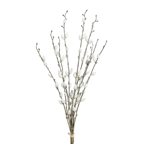 Seidenblumen Roß 3er-Bund Weidenkätzchen 52cm DP künstlicher Weidenkätzchenzweig Salix Palmkätzchen