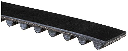 Courroie Gates T112 de distribution synchrone longévité premium
