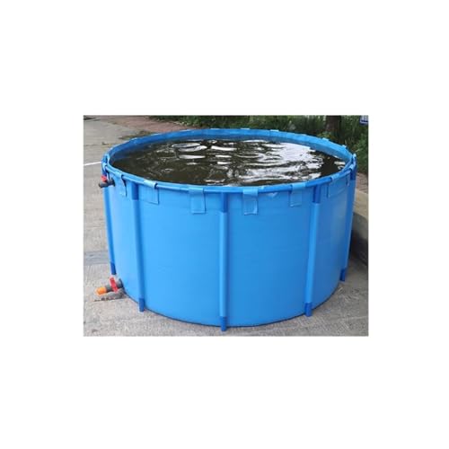 Piscine hors sol pour koïs et poissons rouges : sublimez votre jardin