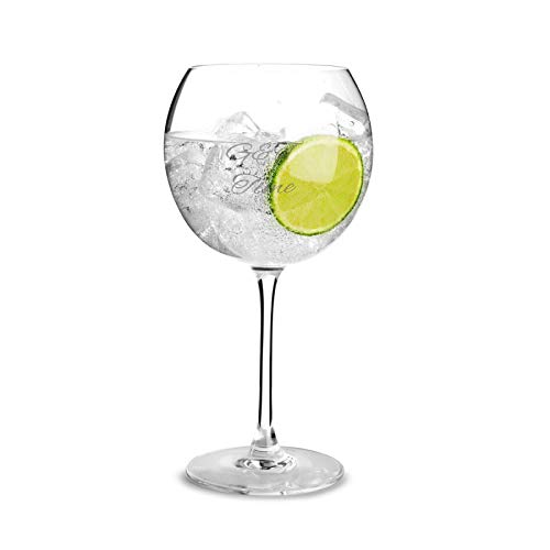 AIOS Avenue's Lot de 2 grands verres à gin incassables en plastique Tritan sans BPA 650 ml Idéal pour une utilisation à l'intérieur ou à l'extérieur Passe au lave-vaisselle Cover