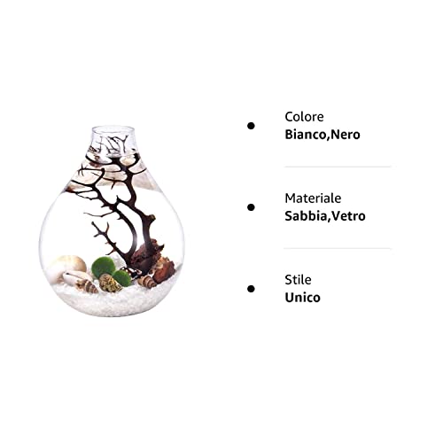 Kit Mairmo Terrarium a goccia - Ghiaia Natrual con...
