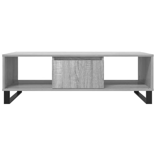 Table basse avec compartiments de rangement et pieds en fer robustes