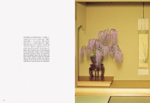 Bonsai: Reprint Edition