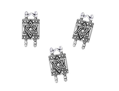PlanetZia 6pcs 2 Sided Torah with Star of David Charms For Jewelry Making YCH-TRH-C