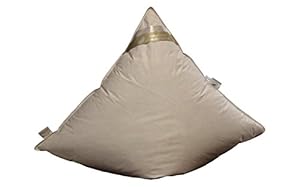 Betten Hofmann Daunenkissen Kopfkissen 80x80 cm, 100% Daunen Flachkissen super weich 450g Daunen, Naturprodukt,