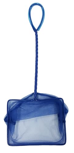 Image of PENN-PLAX Quick-Net Aquarium Fish Net - Durable, Strong, and Safe - Color May Vary (Blue or Green) - 5 inch x 4 inch Net - 10 inch Handle (Pack of 2)