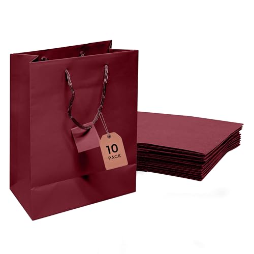 Novel Box Burgundy Gift Bags with Handles 10 Pack 8x4x10 Inches Large Paper Bulk Gift Bags for Business Shopping Birthday Party Favor - Euro Tote Paper Bag for Groceries & Personal Use
