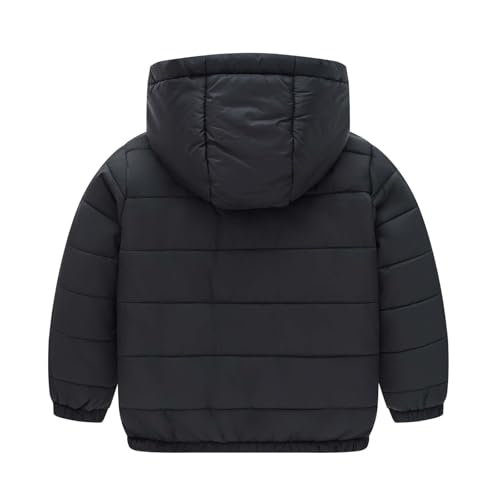 wodceeke Toddler Boys Girls Down Winter Coats Hooded Puffer Jacket Kids Lightweight Padded Outwear with Hood 1-10 Years3
