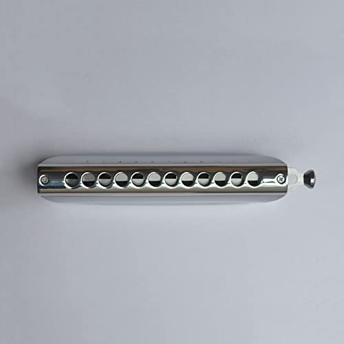 MEIeynt Harmonica, 12 Trous Diatonic Blues Harmonica Key of C, avec Étui Harmonica Orgue à Bouche pour Adultes, Joueur… - Les Beatles, Paul McCartney, John Lennon, RIngo Starr, George Harrison MEIeynt Harmonica, 12 Trous Diatonic Blues Harmonica Key of C, avec Étui Harmonica Orgue à Bouche pour Adultes, Joueur… – Image 8