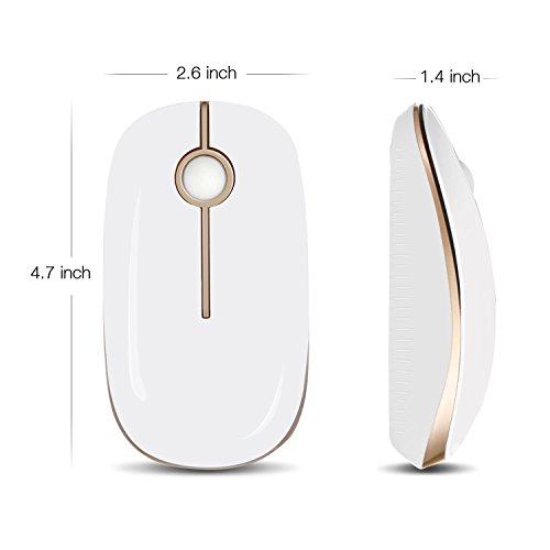 Vssoplor Wireless Mouse, 2.4G Slim Portable Computer Mice With Nano Receiver For Notebook, Pc, Laptop, Computer (White And Gold) #TOP7