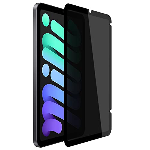 YMYWorld E ̂h~ tB^[ iPad mini6 p vCoV[tB^[ `h~ tB ˖h~ (c^Cv)