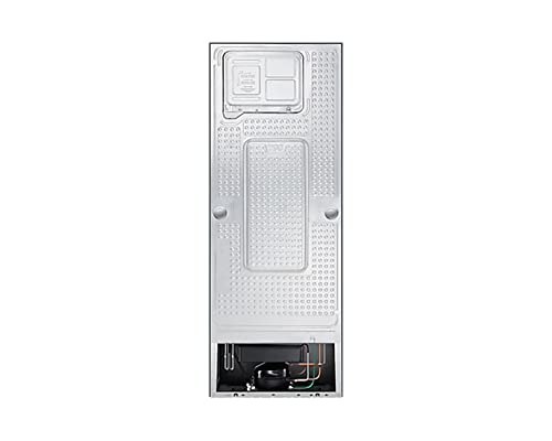 Image of Samsung 324L 3 Star Frost-Free Double Door Refrigerator Appliance (RT34B4513QB /HL, Bouquet Silver, 2022 Model)