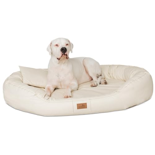 tierlando® Orthopädisches Hundebett Lennart Easy Clean mit Visco-Plus-Matratze und pflegeleichtem Kunstleder-Bezug | Größe: 85x65cm | Farbe: 05 Creme