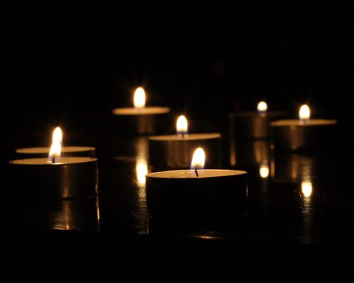 Tea Lights White Natural Unscented - 50 Count