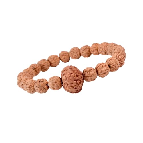Seetara Rudraksha 5 Mukhi Bracelet with Single 7 Mukhi Rudraksha, Original Rudraksha Bracelet for Men & Women (Free Size) Original, Charged with Energy, Color Brown (B0C8ZB9KNP) Amazon Price History, Amazon Price Tracker