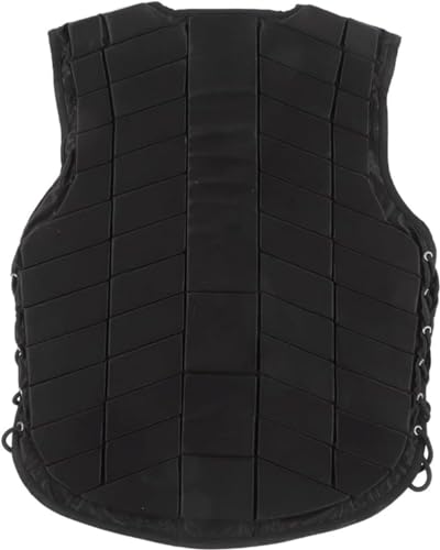 nxXg nxXg jp npیxXg Ռy lp npی veN^[MA (M)