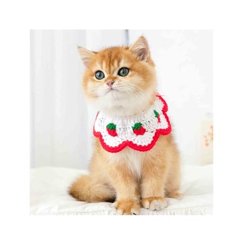 L̎ lN^CtqL̎ C`S ߉\ Ȏq X^CbVȔL̕Ƒ(Xgx[-M-9.8C`)