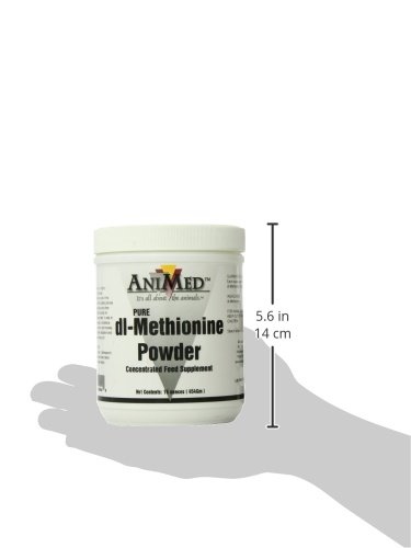 Animed Dl-Methionine Pure For Horses, 16Oz #TOP3