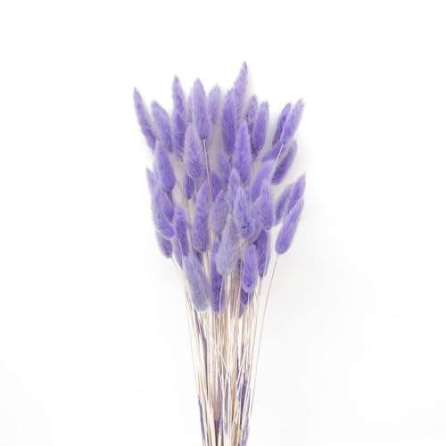 JKDHJK 50 Stück Pampasgras Helles Lila - 40cm Natürliche Getrocknete Kaninchenschwanzgras Trockenblumen, Traum Deko für DIY Vase, Boho Wohnzimmer, Hochzeit & Tischdeko