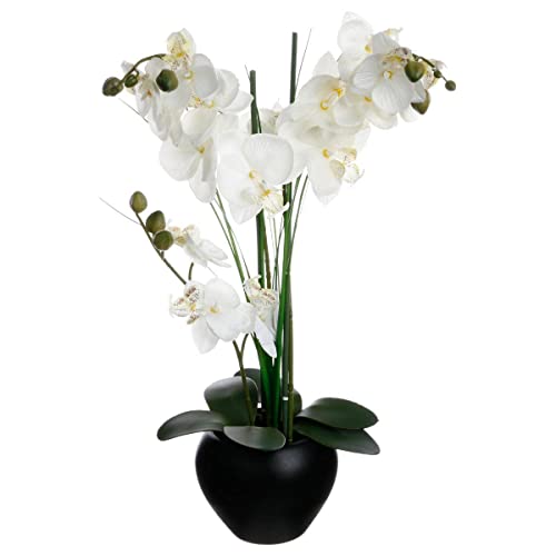 Atmosphera - Orquídea Artificial - jarrón de cerámica Negro - H53 cm
