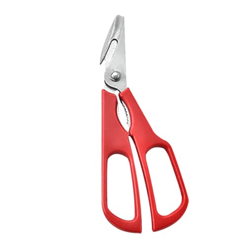 BinZyronic 1 CN͂ uX^[sbN @\ XeX| PPnh  Lb`p