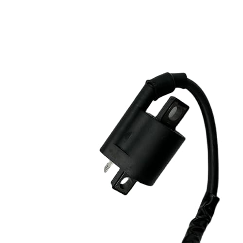 Bobina de encendido para YMH 350 ATV, repuesto eléctrico compatible con quad YFM350 y YFM 350 3
