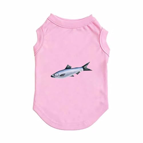 ZSDGBZ  ėp ⊴ TVc ^  ʋC sN  ΍ p^Ngbv t Ă΍ 畆ی X|[cEFA XS JWA Lk  o U