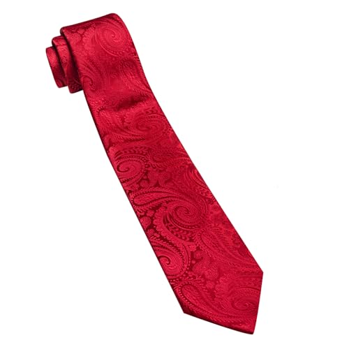 Image of Barry.Wang Paisley Tie for Men Silk Woven Necktie and Tie Clip Set Wedding Party Business Formal