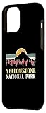 Zoom IMG-1 parco nazionale di yellowstone vintage