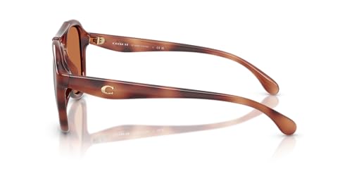 COACH Women's Hc8406u Sculpted C Hardware Universal Fit Aviator Sunglasses3