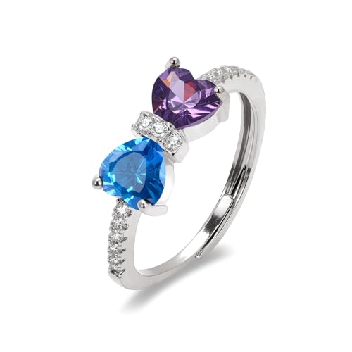 Raicegs Silver February December Birthstone Rings for Women Heart Cubic Zirconia Gemstone Adjustable Ring Personalized Jewelry Dainty Birthday Gifts for Her Mom