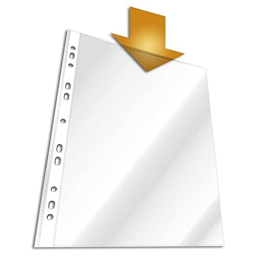 Durable 2672/19 - Fundas transparentes perforadas 100 PP (A4, 100 unidades)