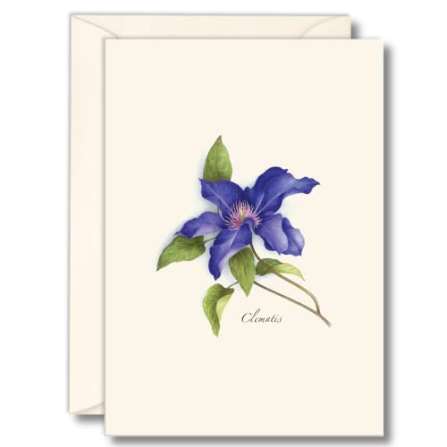 Image of Earth Sky + Water - Clematis Notecard Set - 8 Blank Cards with Envelopes